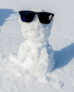 Person wearing sunglasses on snow covered field