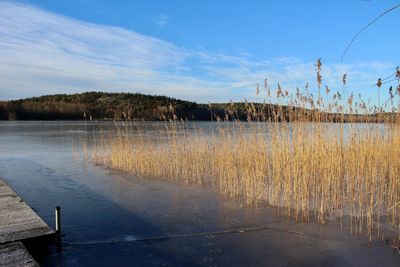 Scenic view of lake against sky