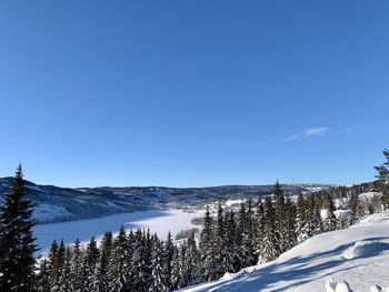 Scenic view of snowcapped mountains against clear blue sky