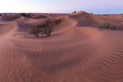 Scenic view of desert against sky