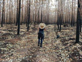 Rear view of man standing in forest