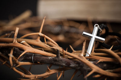 A cross with a thorn crown over the dark background.