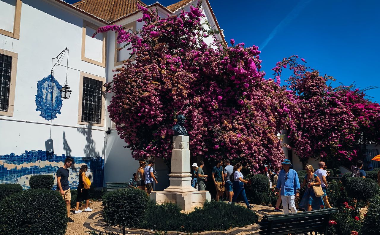 PEOPLE ON PINK FLOWERING PLANT AGAINST BUILDING