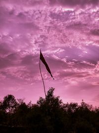 Low angle view of silhouette plant against sky at sunset