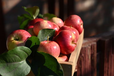 Close-up of apples