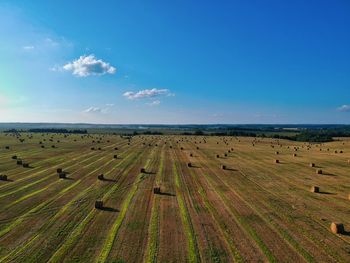 Scenic view of agricultural field against blue sky