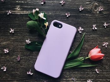 High angle view of flowering plant on table