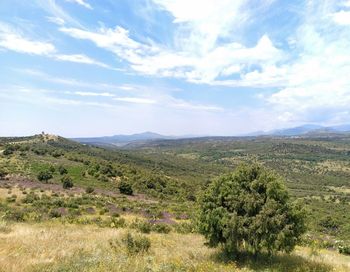 Scenic view of landscape against sky