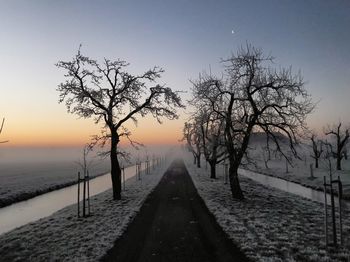 Bare trees on snow covered landscape against sky during sunset