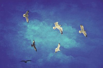 Low angle view of airplane flying against blue sky