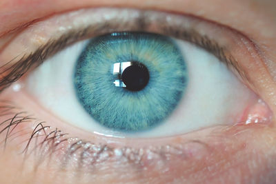 Close-up portrait of woman eye