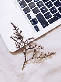 High angle view of white and laptop on table