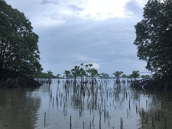 Scenic view of lake against sky