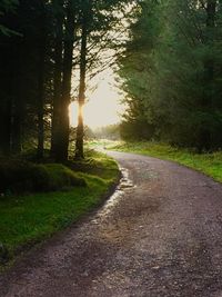 Road amidst trees against sky during sunset