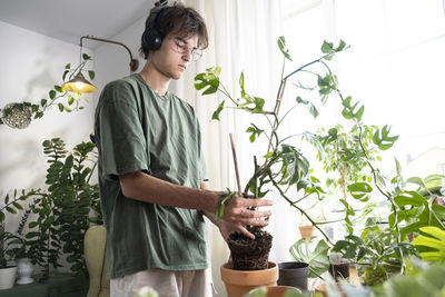 A young man holding mini monstera rhaphidophora. cultivation and caring for indoor potted plants.