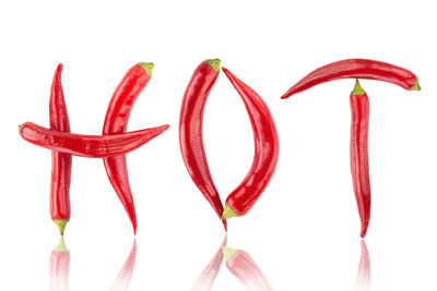 Close-up of red chili pepper against white background