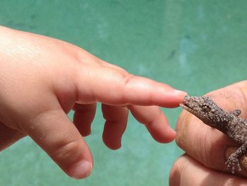 Close-up of hand holding hands