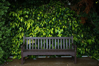 Empty bench in park