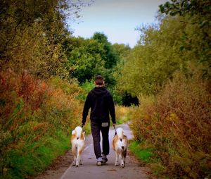 Man with dog walking in forest