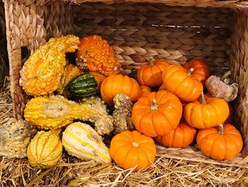 High angle view of pumpkins in basket