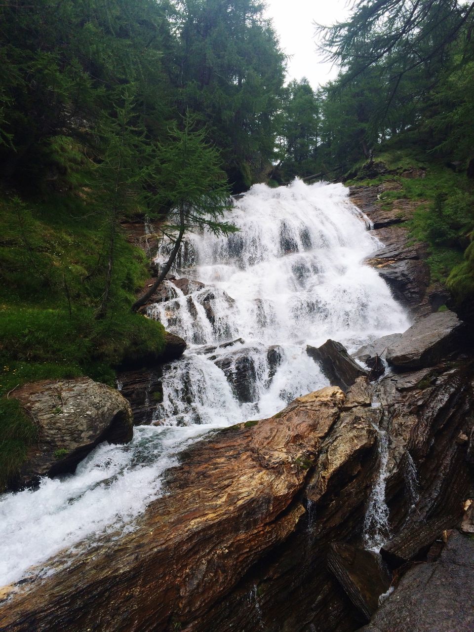 water, waterfall, flowing water, motion, long exposure, flowing, forest, beauty in nature, rock - object, scenics, nature, tree, stream, blurred motion, river, splashing, idyllic, surf, tranquil scene, day