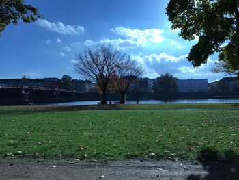 View of people in park