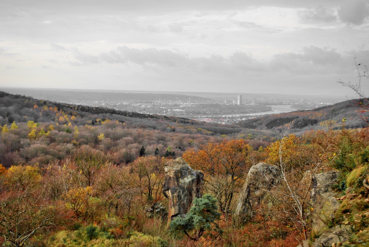 Blick auf Bonn