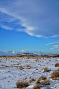 Scenic view of snow covered land against sky during winter