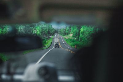 Car on road amidst trees