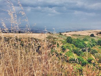 Scenic view of field against cloudy sky