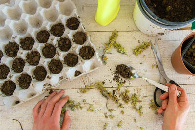 High angle view of person preparing food on table