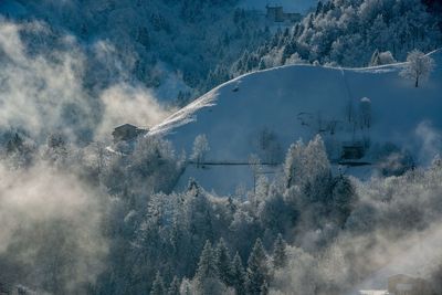 Panoramic view of snow covered land and trees