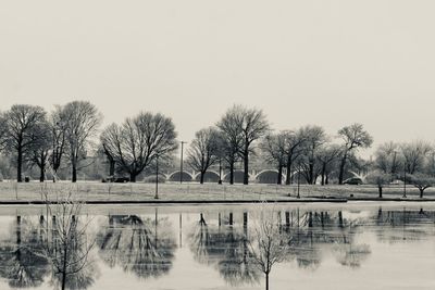Reflection of bare trees in lake against clear sky