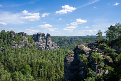 Plants growing on land against sky near bastei 