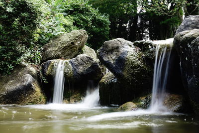 Scenic view of waterfall in forest