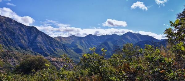 mountain