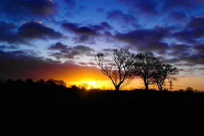 Silhouette of trees at sunset