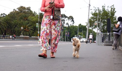 Low section of woman with dog on road