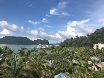 Scenic view of palm trees by sea against sky
