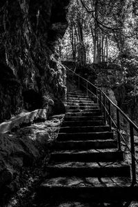 Staircase in forest