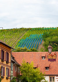 Houses and trees on landscape against sky