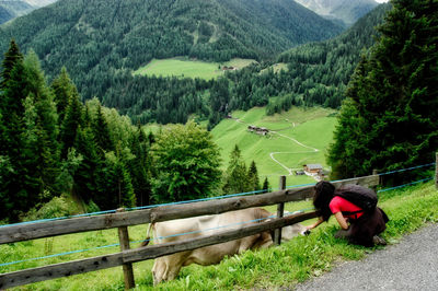 Woman touching cow through fence