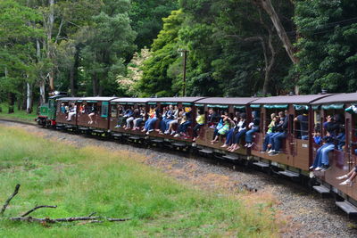 People on railroad track by trees
