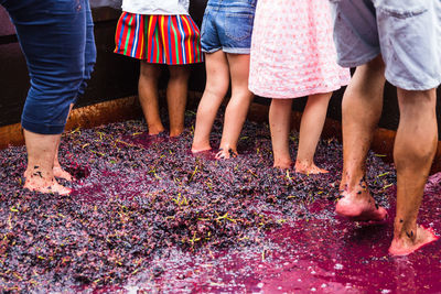 Low section of people jumping on grapes