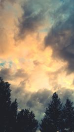 Low angle view of silhouette trees against dramatic sky