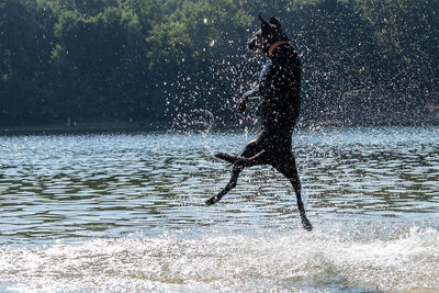 Full length of shirtless man splashing water