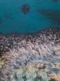 High angle view of sea shore