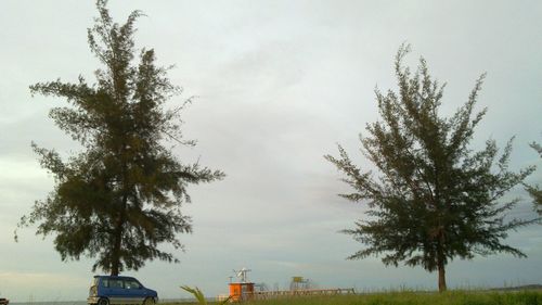 Trees on landscape against cloudy sky