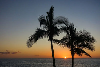 Silhouette palm tree by sea against clear sky at sunset