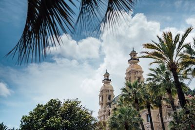 Low angle view of palm trees against sky